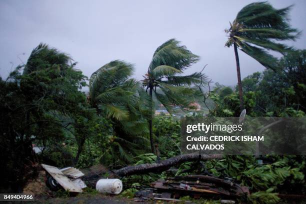 Picture taken on September 19, 2017 shows the powerful winds and rains of hurricane Maria battering the city of Petit-Bourg on the French overseas...