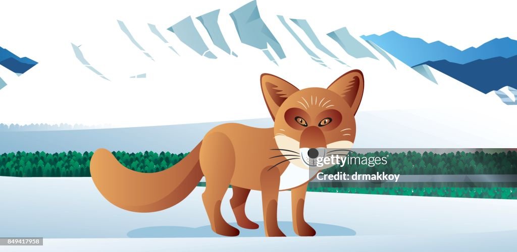 Hokkaido Red Fox