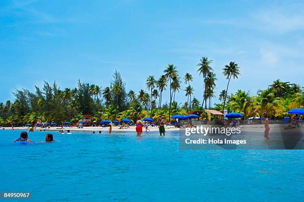 group of people on the beach, luquillo beach, puerto rico - luquillo stock-fotos und bilder