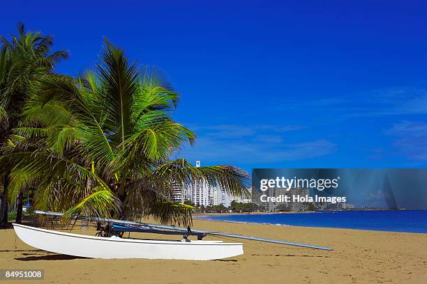 boat near palm trees on the beach, ocean park, el condado, san juan, puerto rico - condado beach stock pictures, royalty-free photos & images