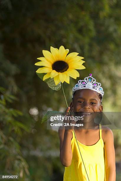 591 Crown Gauteng Stock Photos, HighRes Pictures, and Images Getty