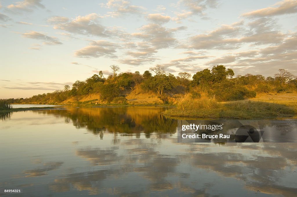 Reflections of the African bush at Mongwe, Zambezi river, Zimbabwe