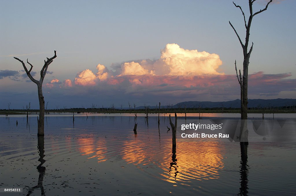 View over lake at sunset, Kariba, Zimbabwe