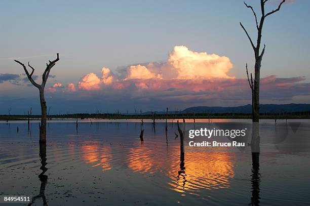 View Over Lake At Sunset Kariba Zimbabwe High-Res Stock Photo