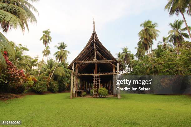 east sepik river village life in papua new guinea - sepik imagens e fotografias de stock