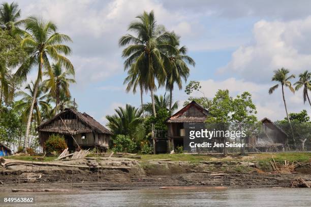 east sepik river village life in papua new guinea - river east stock pictures, royalty-free photos & images