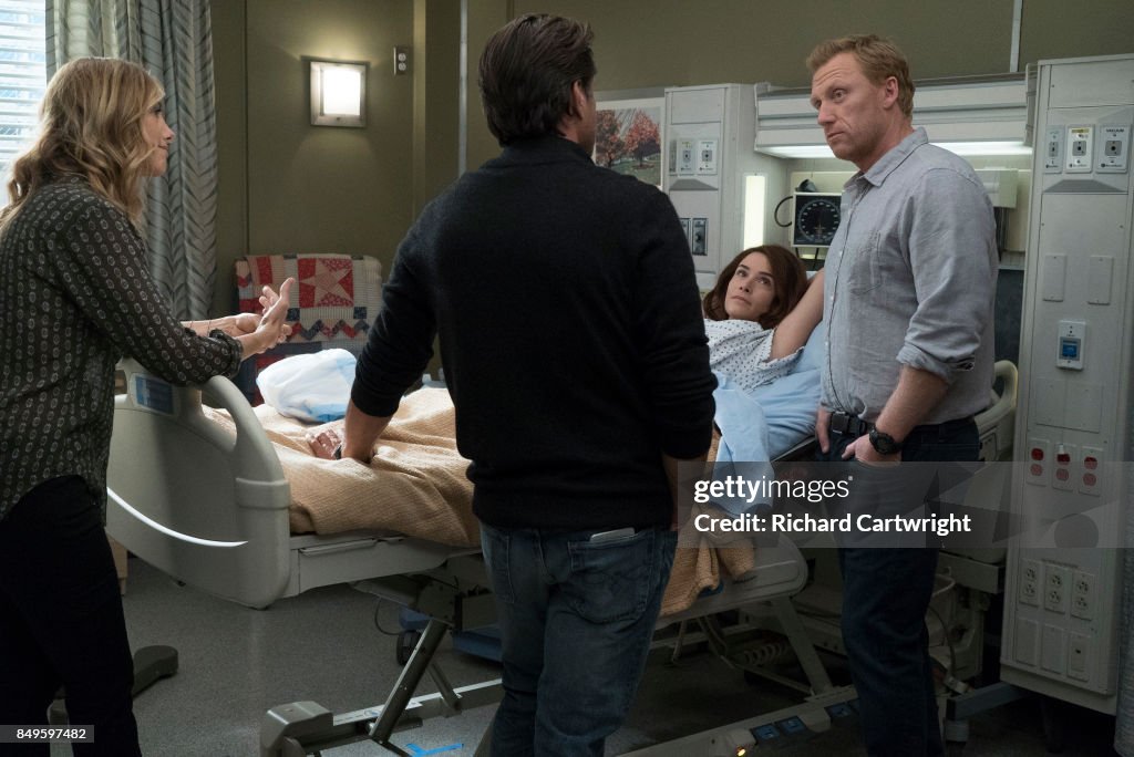 ABC's "Grey's Anatomy" - Season Fourteen