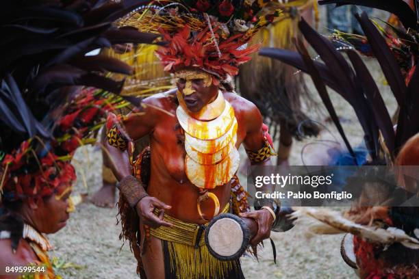 member of traditional sing sing group at the 61st goroka cultural show in papua new guinea - goroka stock-fotos und bilder