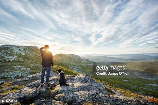 owner and dog watching sunrise in mountainous landscape - back view bildbanksfoton och bilder