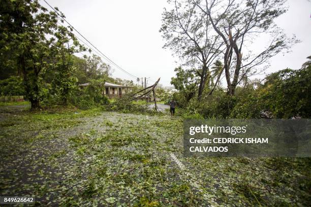 Resident walks across a road covered in fallen tree branches and leaves in the village of Viard - Petit Bourg, near Pointe-a-Pitre, on September 19,...