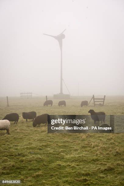 General view of sheep with a wind turbine in the background on Flat Holm island in the Bristol Channel. Flat Holm is a limestone island in the...