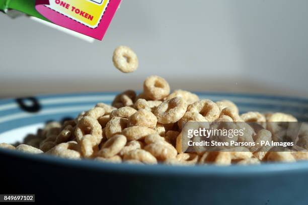 General Picture of Nestle Honey Cheerios