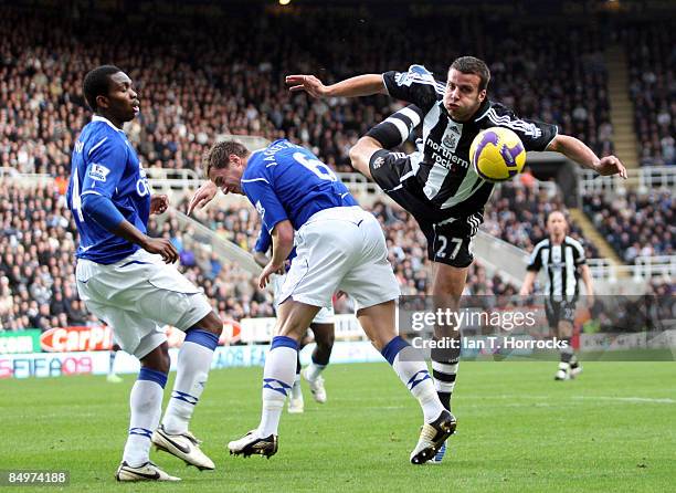 Steven Taylor of Newcastle United in action during the Barclays Premier League match between Newcastle United and Everton at St. James' Park on...