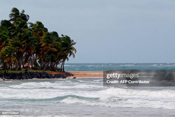 Wind gusts hit palm trees as Hurricane Maria approaches the island of Luquillo in Puerto Rico, Tuesday, Sept. 18, 2017. Maria headed towards the...