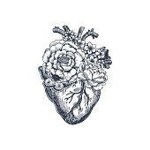 Tattoo anatomy vintage illustration. Floral anatomical heart. Vector illustration