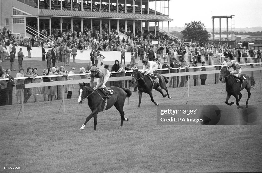 Horse Racing - Kris Plate - Newbury Racecourse