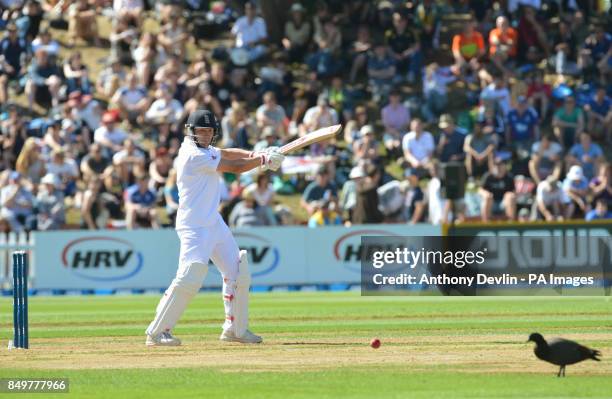 England's Jonathan Trott hits a shot past a duck on the outfield during day one of the Second Test match at Hawkins Basin Reserve, Wellington, New...