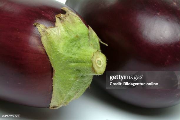 Solanum Melongena. Eggplant. Melanzana. Vegetable. Food.