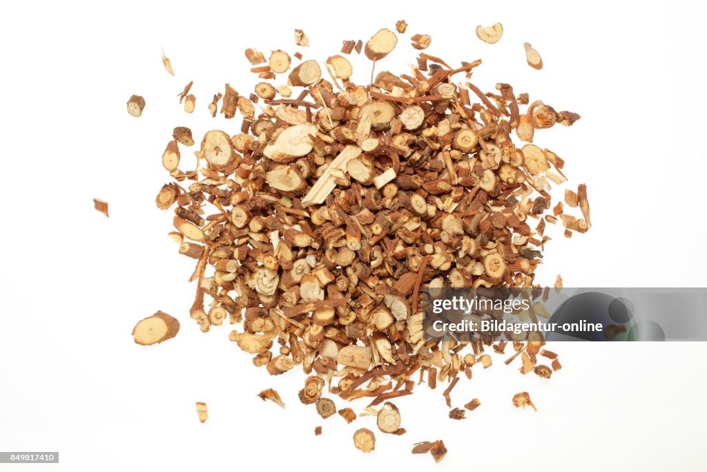 Wax Roots Dried Roots Of The Medicinal Plant Thorow-wax. Hare's Ear. Bupleurum ...