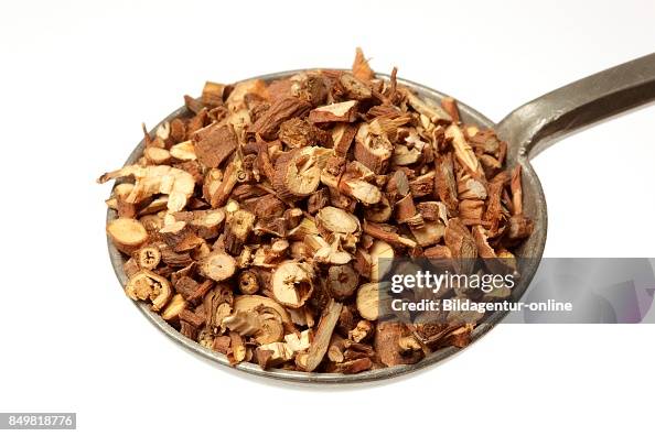 Wax Roots Dried Roots Of The Medicinal Plant Thorow-wax. Hare's Ear. Bupleurum ...