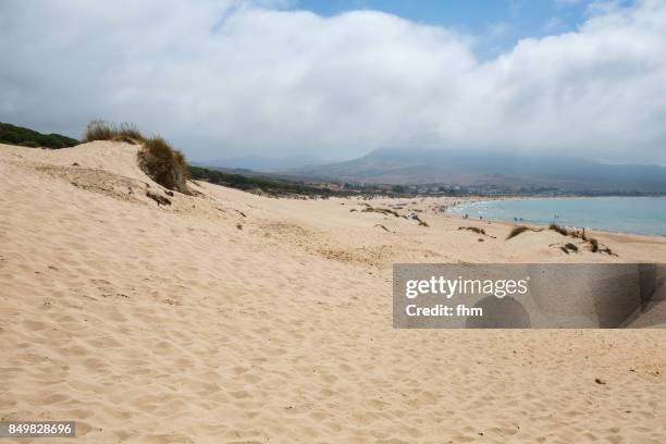 the dune of bolonia (cadiz province/ andalusia/ spain) - bolonia stock-fotos und bilder