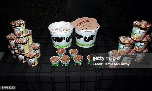 General view atmosphere of Ben and Jerrys Ice Cream at the 17th Annual Elton John AIDS Foundation Oscar party held at the Pacific Design Center on...