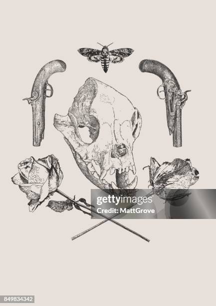 macaque clan - macaque stock illustrations