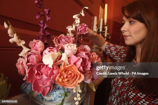 Sasha Eyre looks at a vase of edible roses deigned by Ms. Cake Head who has created a Hansel and Gretel inspired wonderland allowing people to eat...