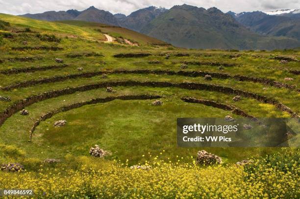 Archaeological site of Moray in the Sacred Valley near Cuzco. Moray - is the name of the Incan ruins near the town of Maras, Peru that sits six...
