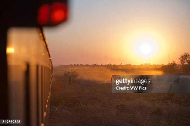 Sunset in the Royal Livingstone Express luxury train. The Steam Locomotive, 156 is a 10th Class originally belonging to the Zambezi Sawmills Limited....