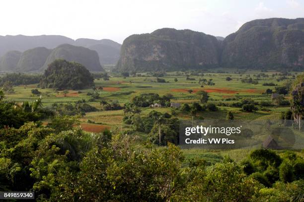 Sweeping view of Valle de Vinales Cuba. Farm houses and mountains, Vinales Valley, UNESCO World Heritage Site, Cuba, West Indies, Caribbean, Central...