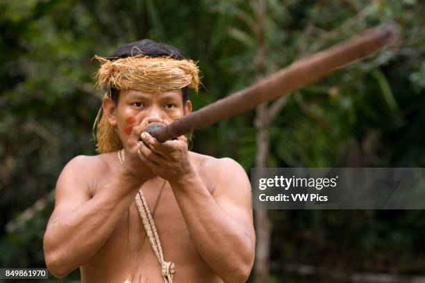 Yagua tribe located near Iquitos, Amazonian, Peru. Blowguns, called pucunas are greatly elongated and handcrafted and use it to hunt..