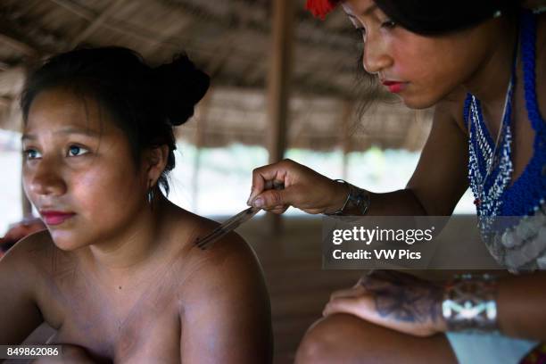 Embera Instruments 219 Embera Village Stock Photos, High-Res Pictures, and Images - Getty ...