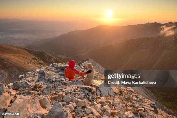 woman petting her golden retriever dog in a mountain at sunrise - bansko stockfoto's en -beelden