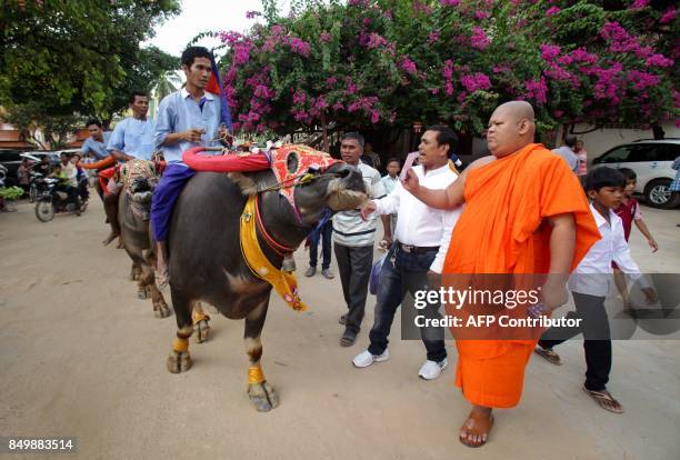 Buddhist monk blesses a buffalo during the Pchum Ben festival, the festival of death, at Vihear Suor village in Kandal province on September 20,...