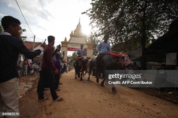 Cambodian villagers ride buffaloes through the street during the Pchum Ben festival, the festival of death, at Vihear Suor village in Kandal province...