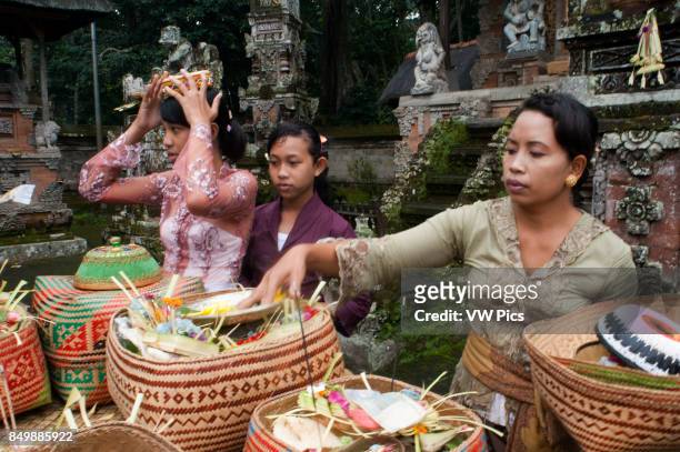Family prays at PURA TIRTA EMPUL a Hindu Temple complex and cold springs - TAMPAKSIRING, BALI, INDONESIA. Several people pray and leave offerings in...