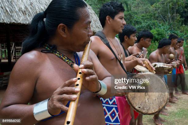 Embera Instruments Embera Village Photos and Premium High Res Pictures - Getty Images