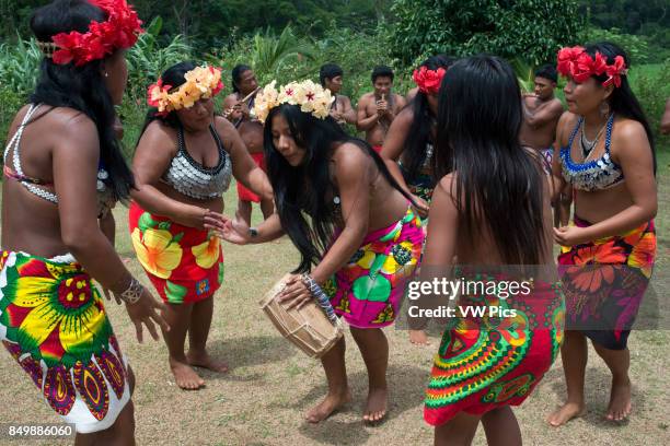 Embera Instruments 1,275 Embera Indian Stock Photos, High-Res Pictures, and Images - Getty ...