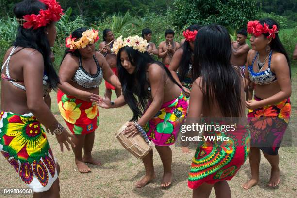 Music and dancing in the village of the Native Indian Embera Tribe, Embera Village, Panama. Panama Embera people Indian Village Indigenous Indio...