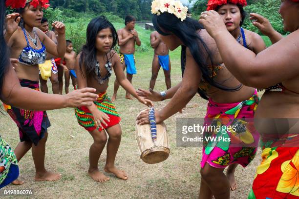 Music and dancing in the village of the Native Indian Embera Tribe, Embera Village, Panama. Panama Embera people Indian Village Indigenous Indio...
