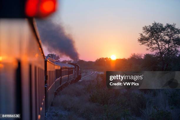 Sunset in the Royal Livingstone Express luxury train. The Steam Locomotive, 156 is a 10th Class originally belonging to the Zambezi Sawmills Limited....