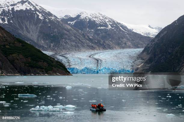 Safari Endeavour cruise passengers in an inflatable boat in front of South Sawyer Glacier calves into the Endicott Arm fjord of Tracy Arm in Fords...