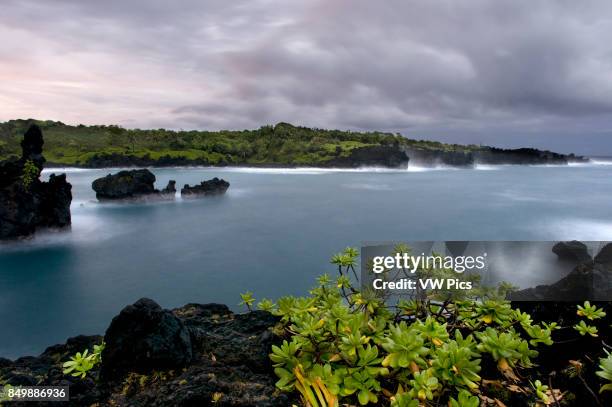 Wai'anapanapa State Park. A leafy location with sea caves and volcanic cliffs. Hana Highway.