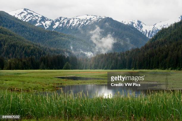 Landscape in Scenery Cove, Thomas Bay, Petersburg, Southeast Alaska. Thomas Bay is located in southeast Alaska. It lies northeast of Petersburg,...