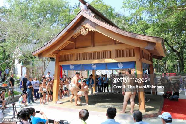 Amateur sumo wrestlers fight on a recently completed dohyo in a park on September 17, 2017 in Taoyuan, Taiwan. A ceremony was held for the revival of...