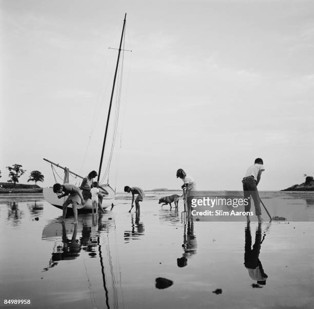 Mrs. Leverett Saltonstall Shaw watches her children digging for clams at low tide on Black Beach, Massachusetts Bay, 1959.