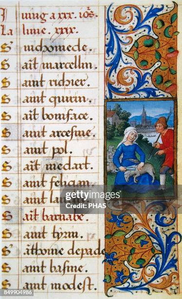 Late Middle Ages. 'Heures de Seguire'. Miniature of the 15thcentury with the representation of the month of June from a calendar: sheared of a ram....