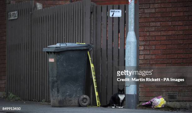 Cat, a 'beware of the dog' sign and a floral tribute outside the house in Chaucer Grove, Atherton where the body of a 14-year old girl, thought to be...