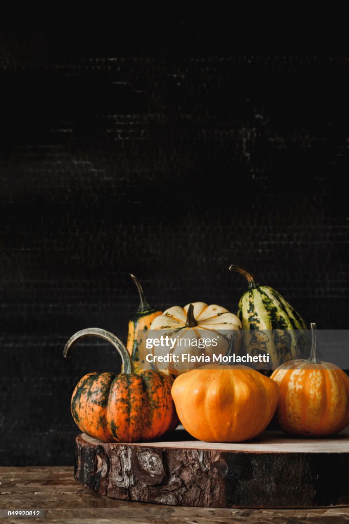 Ornamental pumpkins still life for Halloween